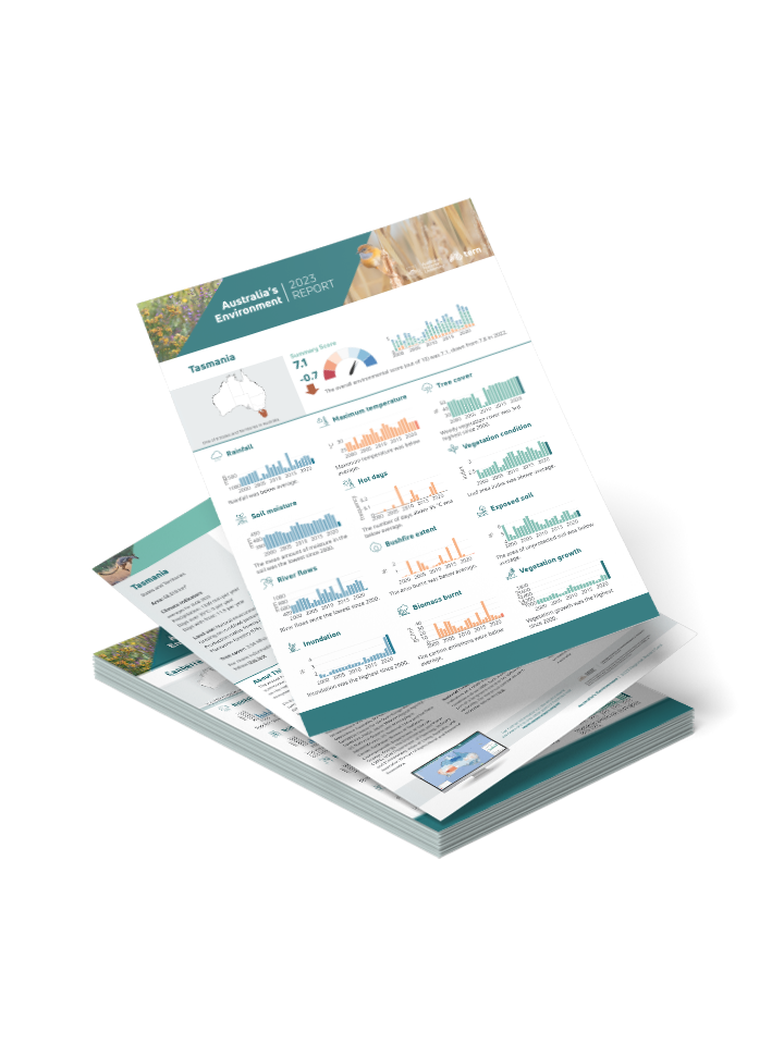 Your Region Report Card