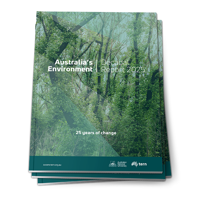 Cover: Australia's Environment Decadal Report 2025