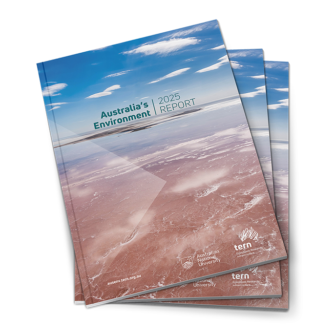Cover: Australia's Environment in 2025